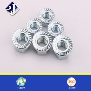 An tSín Soláthraí Monarcha ANSI / ASME B 18.16.4 Cnónna Flange Hex Serrated